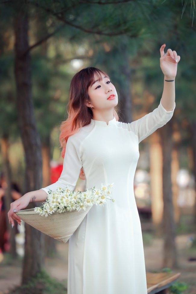 双碟秀直播 弹壳与玫瑰